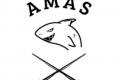 Amas-fishing.pl - wdkarstwo spinningowe, feederowe, spawikowe	