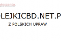 Olejek CBD od polskiego producenta