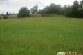 sprzedam ziemi roln ok.2,5ha 