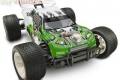 Ansmann Racing  Royal Flash RC RTR 1:10