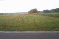 Dziaka w gowie 1500 m2 (gm. Sulechw)