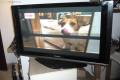 Sprzedam uszkodzony telewizor Panasonic TH-42PY70PA