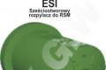 ESI Rozpylacz 6 otworowy do RSM