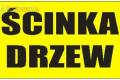Wycinka Przycinka Drzew Wieliczka I Okolice Do 30km Dojazd Gratis