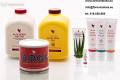 Aloes Aloe Vera naturalne suplementy