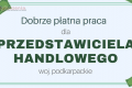 Przedstawiciel Handlowy W Brany Technicznej (mazowieckie)