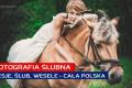 Fotograf | Sesje | lub | Wesele | CAA Polska | PRO