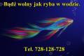Sprzeda czystych spek. Tel. 728-128-728