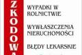 Odszkodowania powypadkowe. Skuteczne dochodzenie roszcze