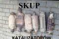 Skup katalizatorw 