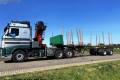 Dool  naczepa do drewna 2 osiowa rozsuwana ZESTAW z VOLVO FH 500  6x2