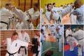 Treningi Karate Kyokushin dla dorosych i dla dzieci od 5 roku ycia - Bydgoszcz