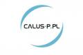 CALUS-P - producent element�w przestrzeni publicznej
