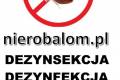Dezynsekcja nierobalom.pl