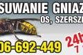 Usuwanie gniazd os, szerszeni, likwidacja - 7 dni w tygodniu