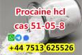 High purity Pro caine global ship