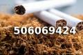 EXTRA Jakoci TYTO na wag z Certyfikatem 85 PLN / 1KG