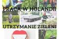 Utrzymanie, pielgnacja ogrodw - Holandia - Praca od zaraz !!!