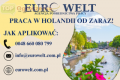 Holandia/Pakowanie Ryb/Dla Par