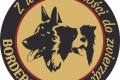 Hodowla BorderGold Border Collie ZKwP FCI