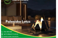 Palenisko Lotus- elegancka nowo�� w Gard House!