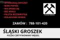 �l�ski W�giel Groszek Certyfikowany 26 Mj - Darmowa Dostawa